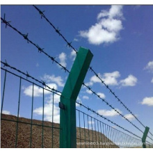 China Top Brand Barbed Wire Fence